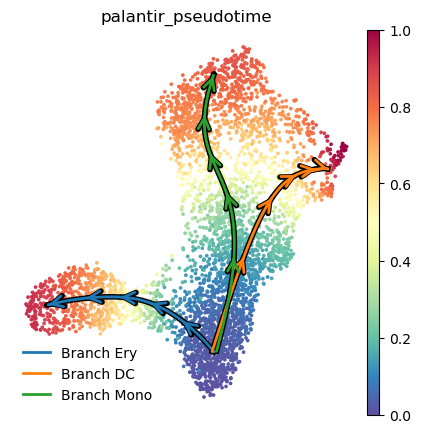 ../_images/notebooks_Palantir_sample_notebook_64_0.png