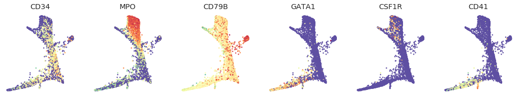 ../../_images/notebooks_comparisons_paga_23_0.png